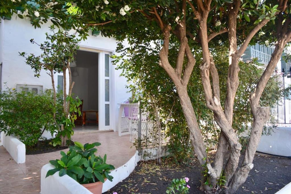 Playa Chica Apt With Terrace 100 M From The Sea Пуерто дел Кармен Екстериор снимка
